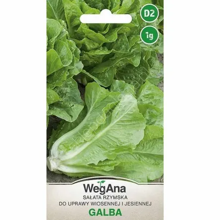 Sałata Galba rzymska 1g W 