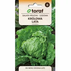 Sałata lodowa Królowa Lata 1g T 