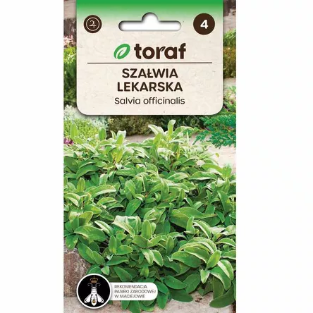Szałwia lekarska 1g T