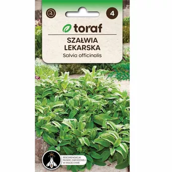 Szałwia lekarska 1g T 