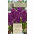 Hiacynt Woodstock 16-17 3szt DCO