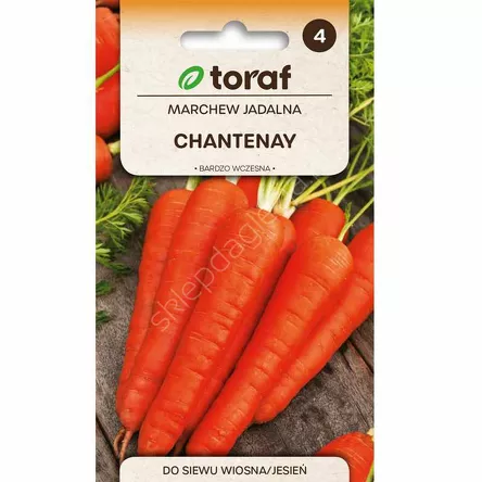 Marchew Chantenay 5g T