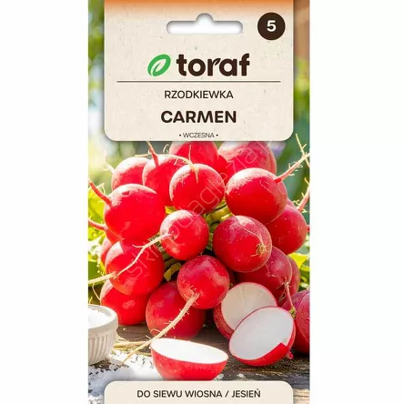 Rzodkiewka Carmen 10g T