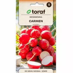 Rzodkiewka Carmen 10g T 