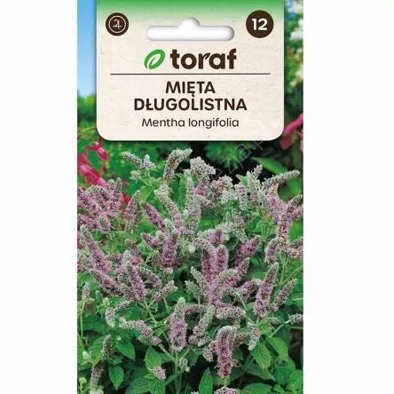 Mięta długolistna  0,1g T