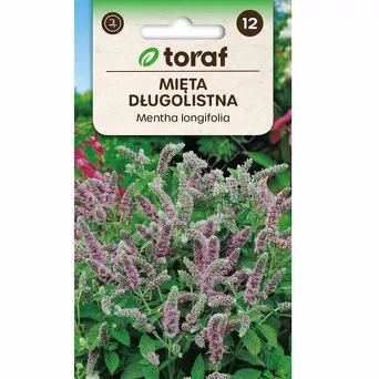 Mięta długolistna  0,1g T 