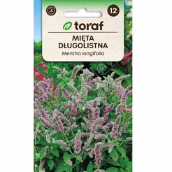 Mięta długolistna  0,1g T 