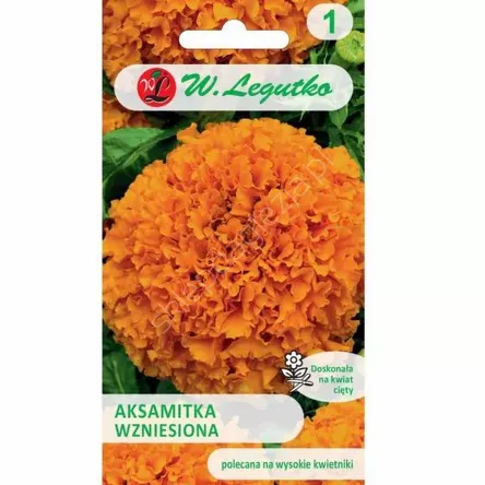 Aksamitka wzniesiona pomarańczowa 1,0 g L