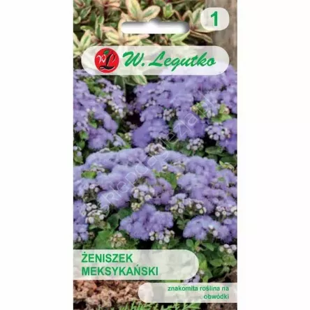 Żeniszek meksykański niebieski 0,3g L