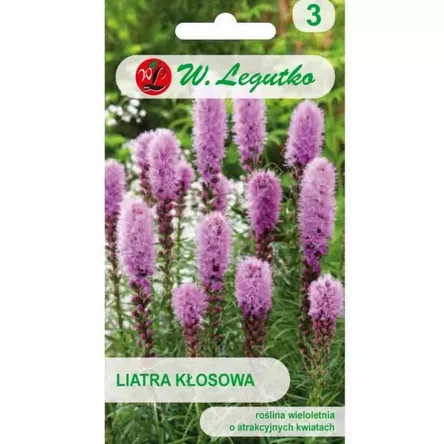 
Liatra kłosowa różowofioletowa 0,20 L
