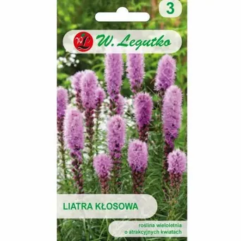 Liatra kłosowa różowofioletowa 0,20 L