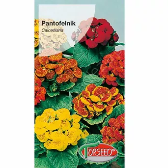Pantofelnik - mieszane Calceolaria 0,02g To
