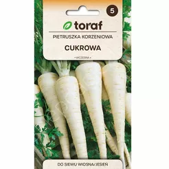 Pietruszka Cukrowa 5g T 