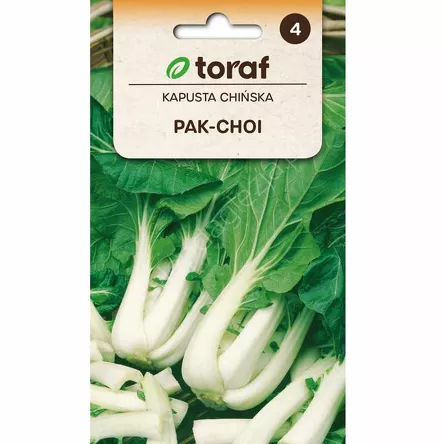 Kapusta chińska Pak Choi F1 1g T