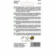 Marchew Sukces  5g Torseed