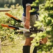 Sekator nożycowy Fiskars Powergear X S