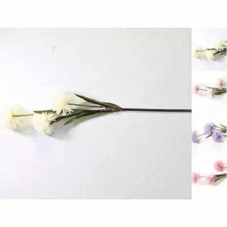 Czosnek gałązka x3 główki