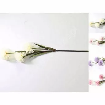 Czosnek gałązka x3