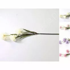 Czosnek gałązka x3