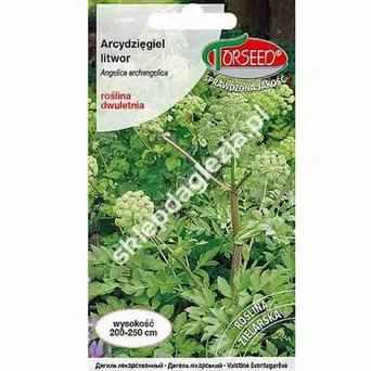Arcydzięgiel litwor 1g To