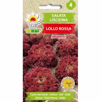 Sałata Lollo Rosa 1g T 