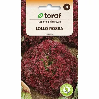 Sałata Lollo Rosa 1g T 