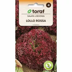 Sałata Lollo Rosa 1g T 