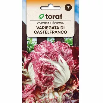 Cykoria liściowa Variegata di Castelfranco 5g T 