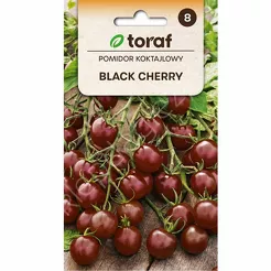 Pomidor Black Cherry 0,3g T 