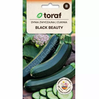 Cukinia Black Beauty 5g T 