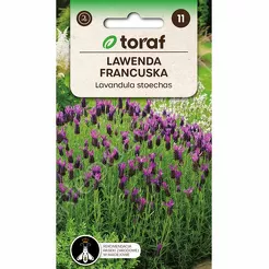 Lawenda francuska purpurowe 0,1g  T