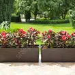 Skrzynka BEGONIA 190*560 dłuto mokka