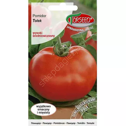Pomidor Tolek 0,1g wysoki Torseed