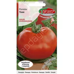 Pomidor Tolek 0,1g wysoki TOR To
