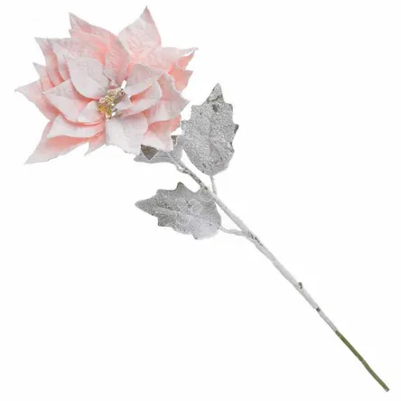 Poinsecja ośnieżona różowa