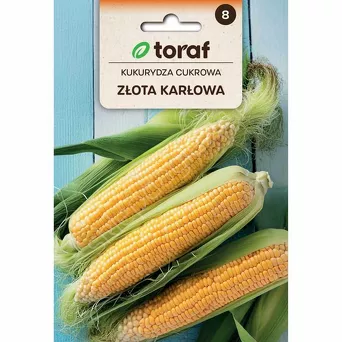Kukurydza Złota karłowa 20g T 