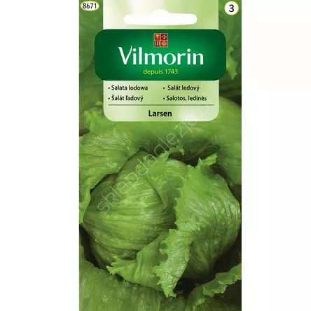 Sałata Larsen lodowa 0,5g Vilmorin