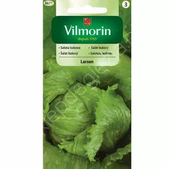 Sałata Larsen lodowa 0,5g V