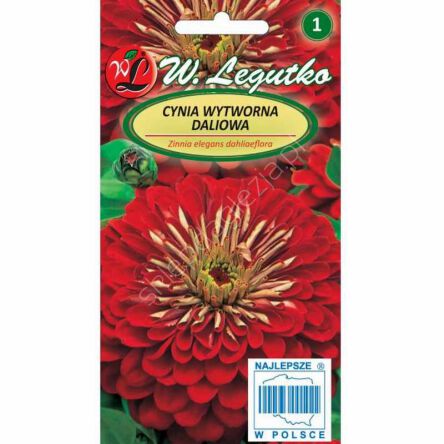 Cynia daliowa Scarlet Flame czerwone 1g L