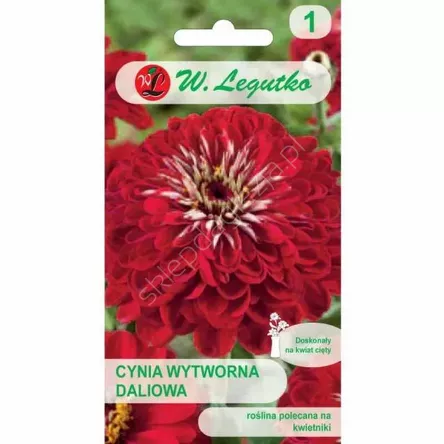 Cynia daliowa Scarlet Flame czerwone 1g L