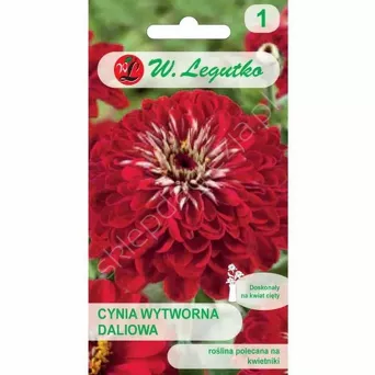 Cynia daliowa Scarlet Flame czerwone 1g L