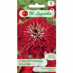Cynia daliowa Scarlet Flame czerwone 1g L