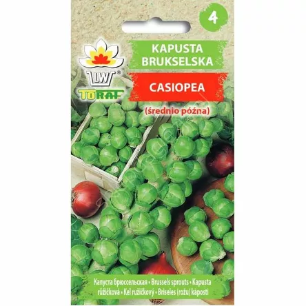 Kapusta brukselka Casiopea 2g T