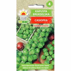Kapusta brukselka Casiopea 2g T