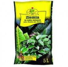 Ziemia rośliny zielone 5l