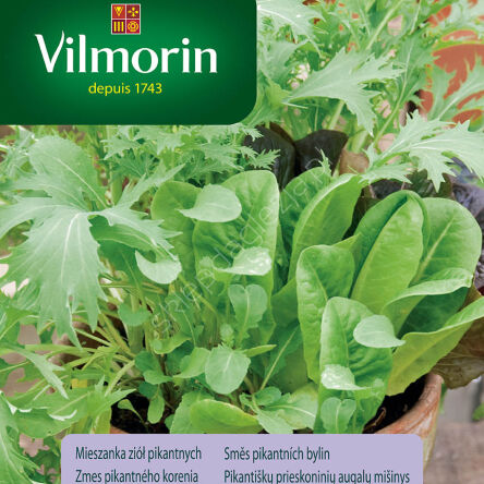 Mieszanka ziół pikantnych 2g Spicy Mix Vilmorin
