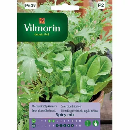 Mieszanka ziół pikantnych 2g V