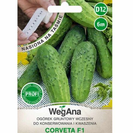 Ogórek Corveta konserwowy F1 taśma 6m W