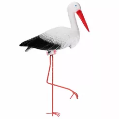 Bocian duży stojący