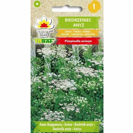 Biedrzeniec anyż 1g T